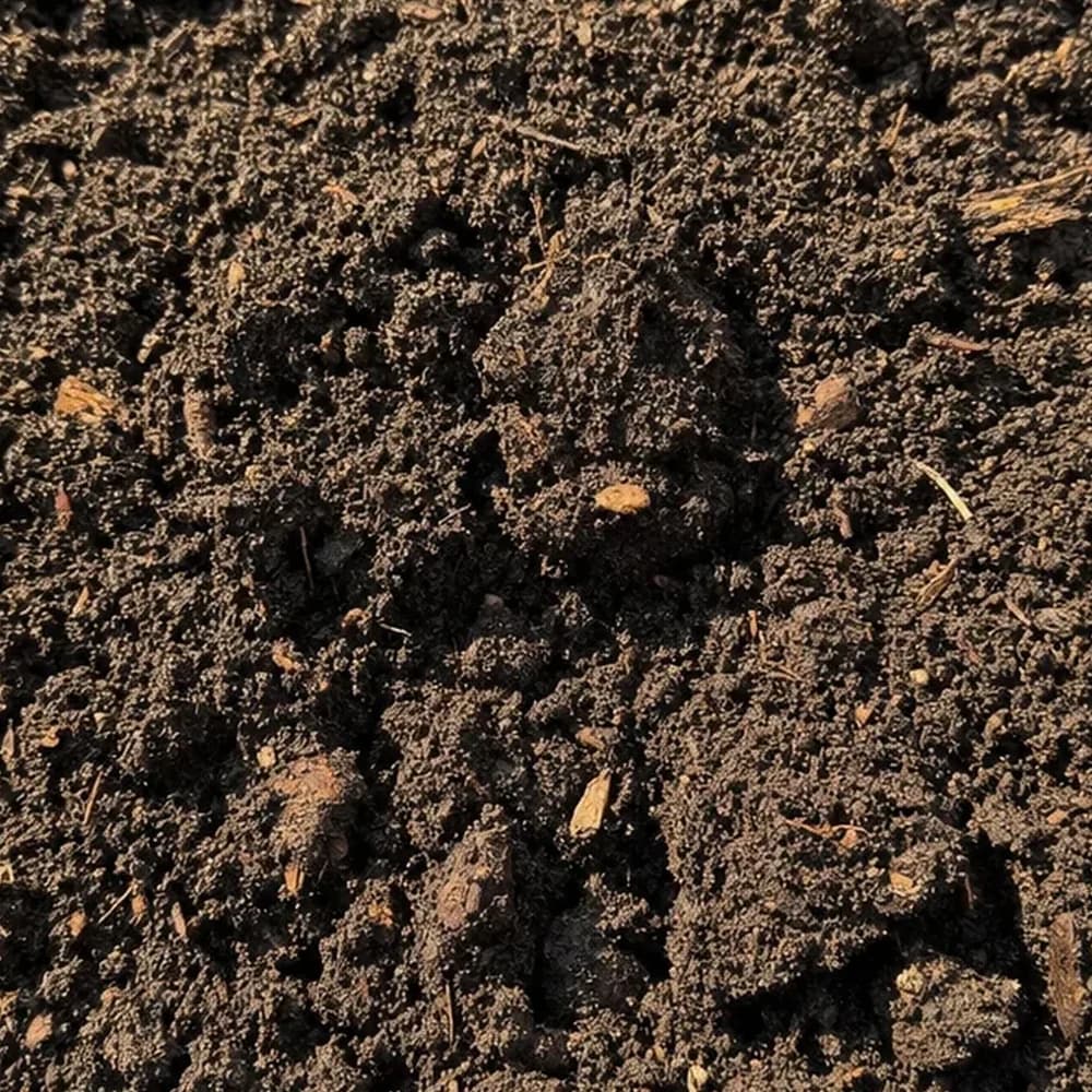 Garden Soil